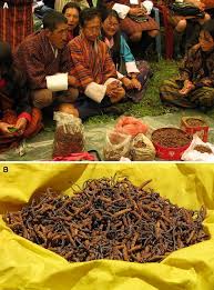 Strong Cultural & Traditional Value